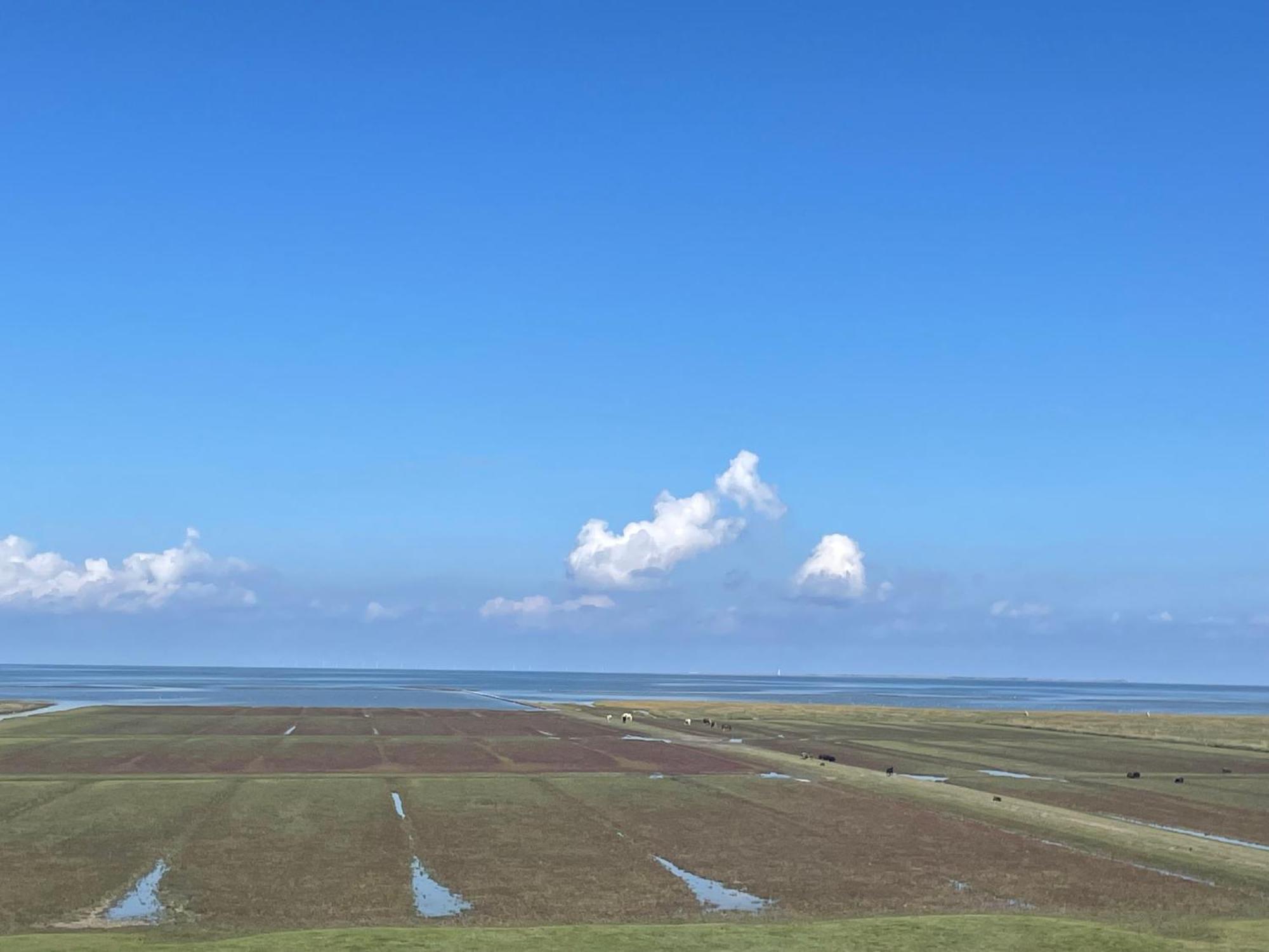 Отель De Oude Smidse Westernieland Экстерьер фото